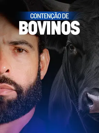 Contenção de bovinos no campo
